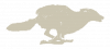home-icon